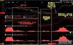 主力持仓 _ 东方财富网